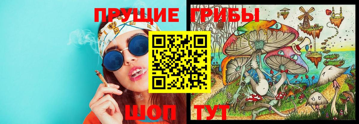Псилоцибиновые грибы Cubensis  Вход с VPN  Мариинск 